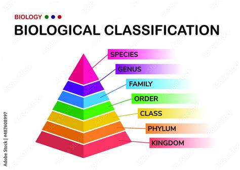 pictures living organisms|Living Organism Pictures, Images and Stock Photos.